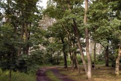 biotop_ende_mai_200610_17399334291_o