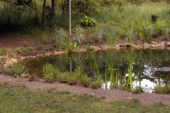 biotop_ende_mai_200615_17213494689_o