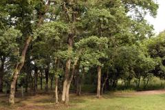 dsc_0187_17212105430_o