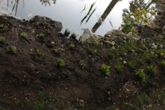 biotop_neu_33_17466668115_o