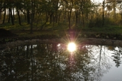 biotop_neu_38_17464643722_o