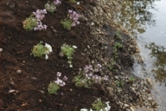 biotop_neu_40_17440688876_o