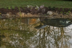 biotop_neu_47_17464638732_o