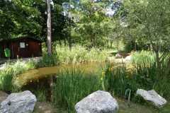 Biotop Frühling 2025