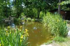 WhatsApp-Bild-2025-05-25-um-12.59.30_e7eab916
