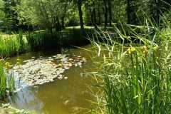 WhatsApp-Bild-2025-05-25-um-12.59.31_3b82eb0e
