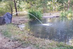 35123740693_03139d0dc2_o