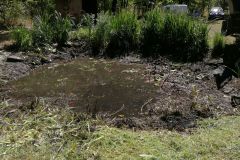 35123934623_a83e63986b_o