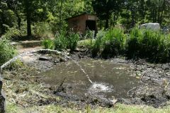 35544581010_763173a98c_o