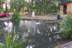 35933203375_400e4d8105_o