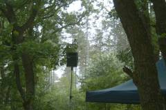 image03213_17259850220_o