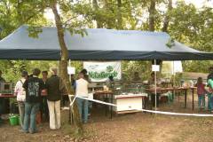 image03819_16827151693_o