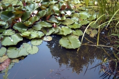 biotopfest2010_029_17261581639_o