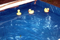 biotopfest2010_058_17260035178_o