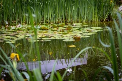IMG_0206-Verbessert-RR