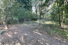 Biotopreiniung 10/2023