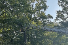 IMG_1830