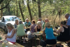 img_3063_21123154802_o