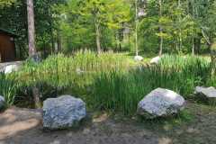 Frühlingserwachen 2024