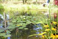 p9014417_16826812013_o