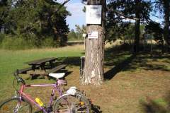 p9014421_17260817609_o