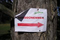 p9014422_17259323378_o