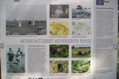 p9014423_16824532264_o