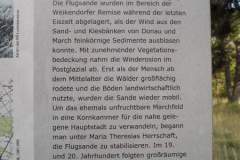 p9014424_17421060306_o