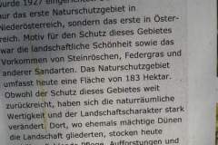 p9014431_16826811923_o