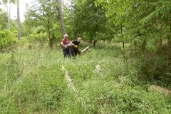 waldreinigung-2012_005_17294305940_o