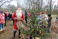 weihnachtswanderung-2011_019_16861729233_o